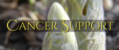 cancer-support